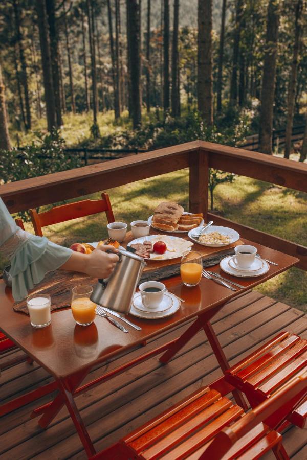 Glamping Yurt Sequoia - Estancia Las Araucarias Canela Exterior foto