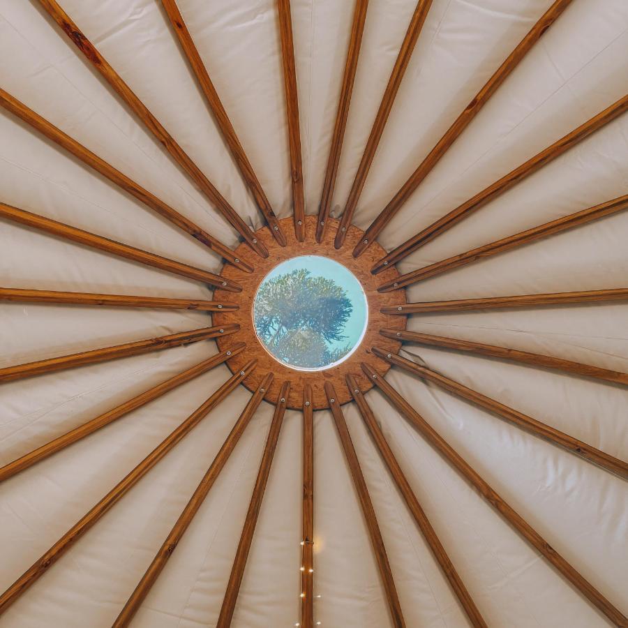 Glamping Yurt Sequoia - Estancia Las Araucarias Canela Exterior foto